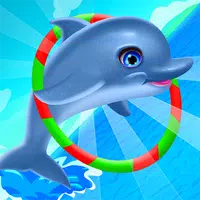 Dolphin Training Camp APK