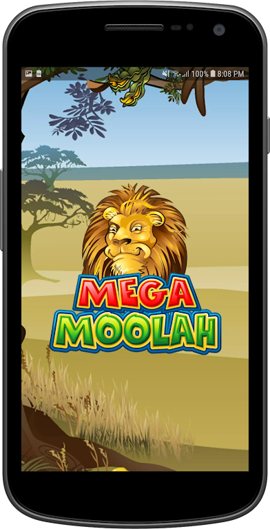 Mega Moolah screenshot 3