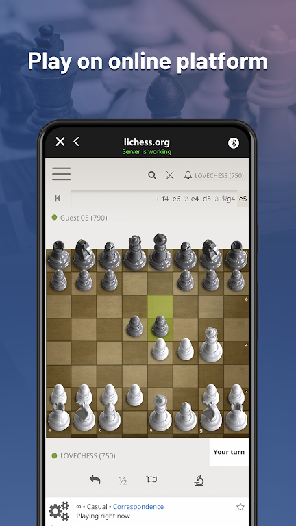 Chessnut screenshot 2