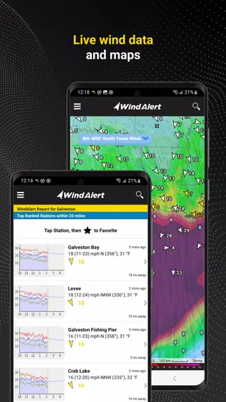 WindAlert: Wind & Weather Map screenshot 4