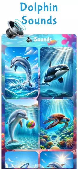 Fun Dolphin Show Game For Kids screenshot 2