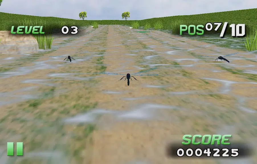 Insect Race screenshot 3