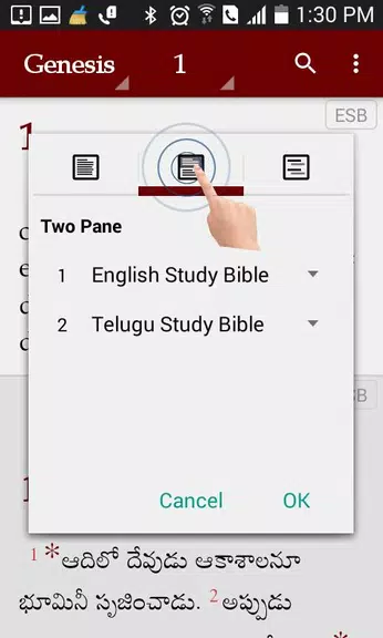 Study Bibles (Multiple Languag screenshot 3