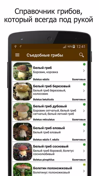 Грибы screenshot 1