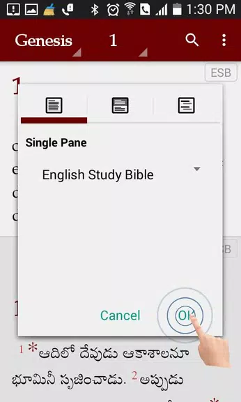 Study Bibles (Multiple Languag screenshot 2