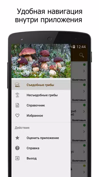 Грибы screenshot 3