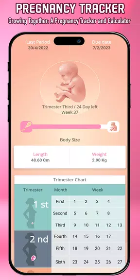 Pregnancy Tracker & calculator screenshot 1