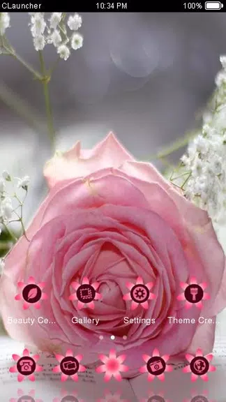 Pretty Pink Rose Theme screenshot 3