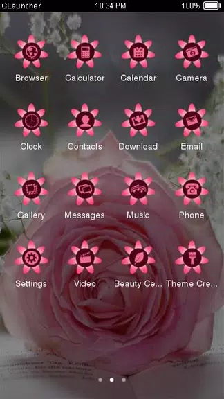 Pretty Pink Rose Theme screenshot 2