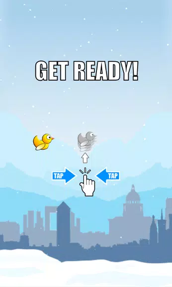 Duck Run screenshot 1