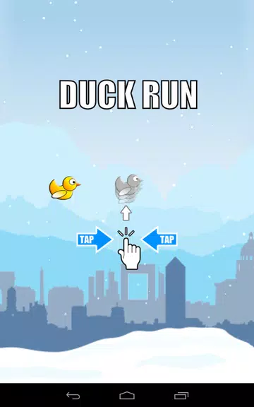 Duck Run screenshot 3