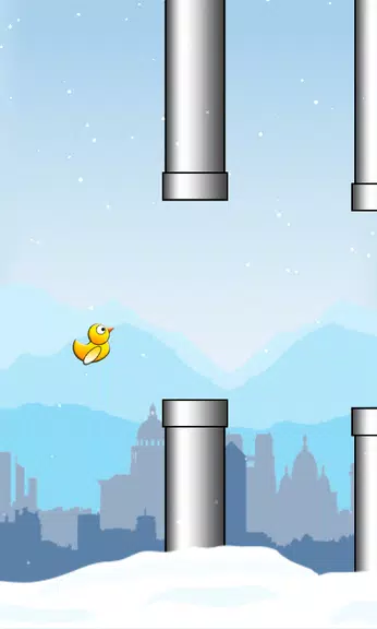 Duck Run screenshot 2