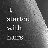 It Started With Hairs APK