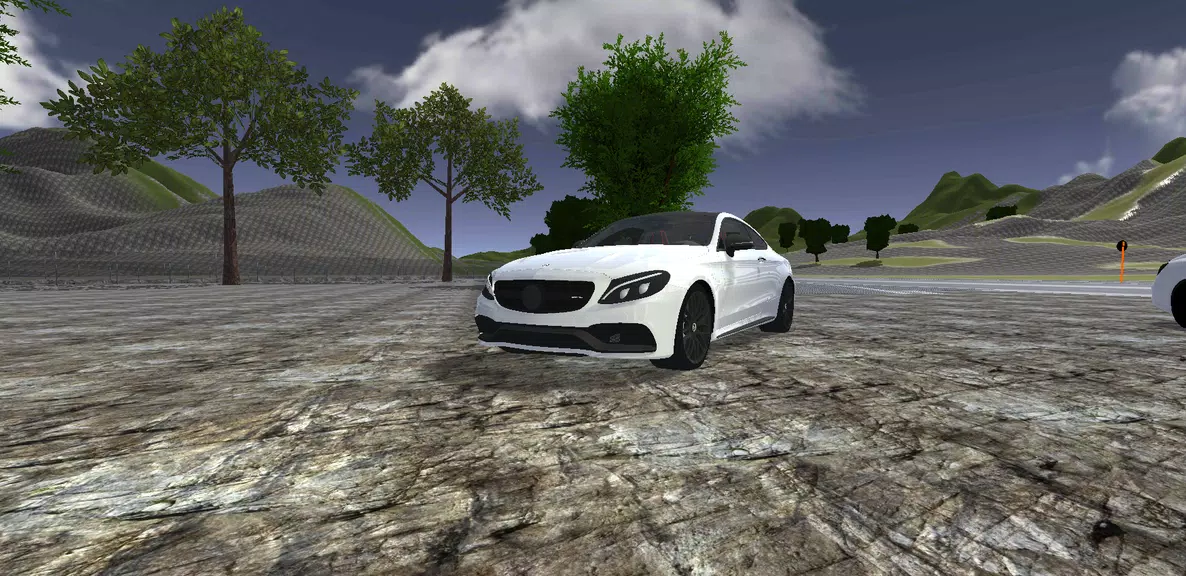 Mercedes Driving Simulator screenshot 2