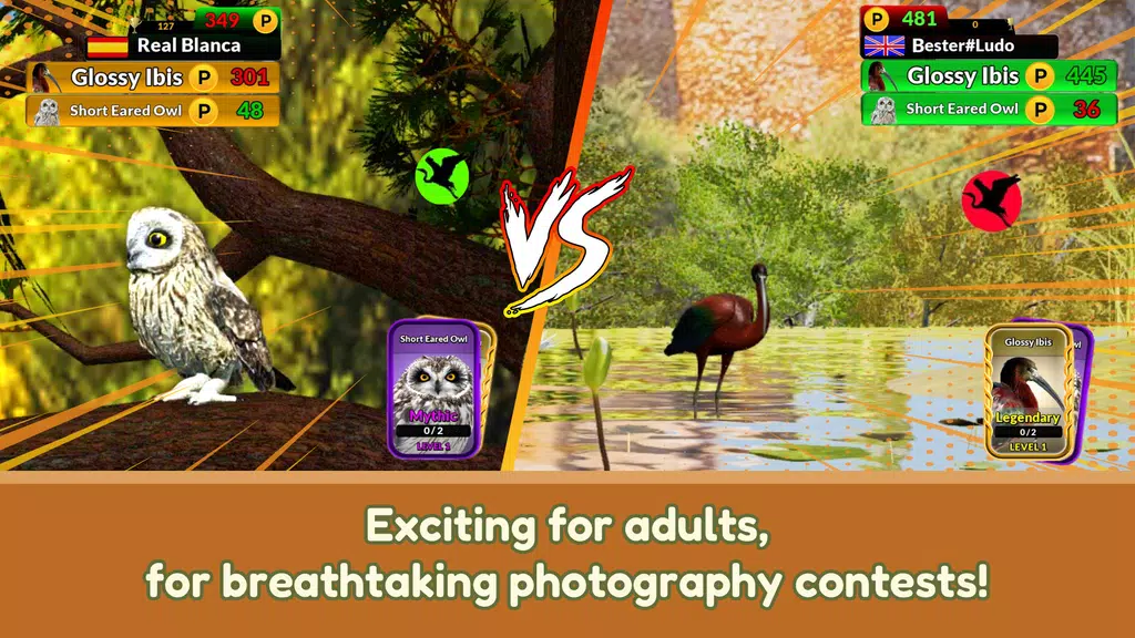 The Birders screenshot 4