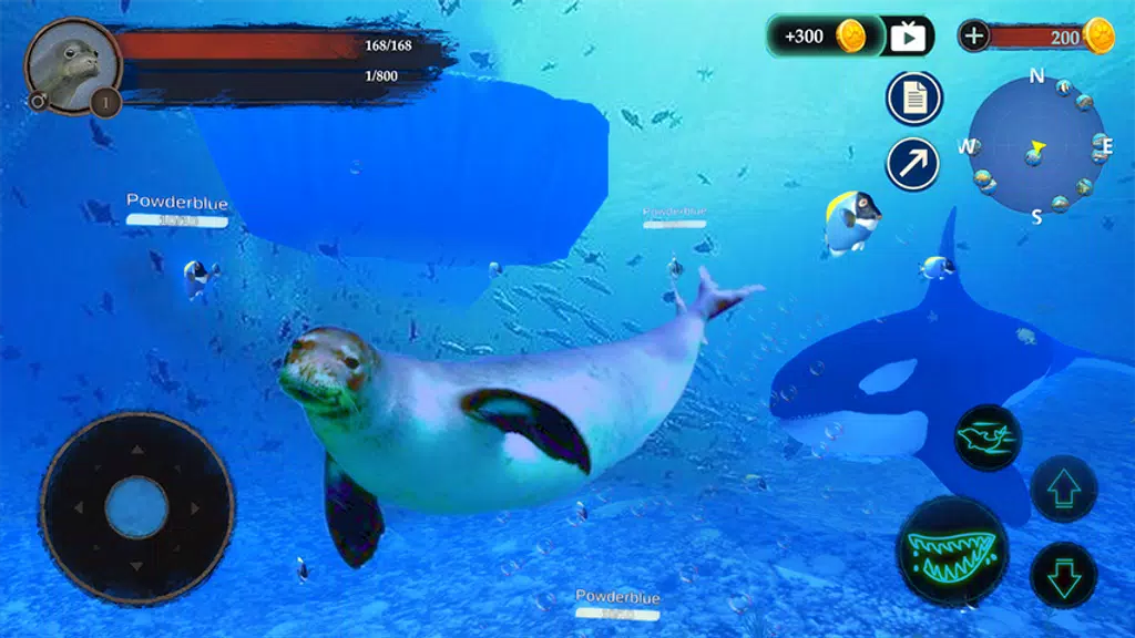 The Seal screenshot 1