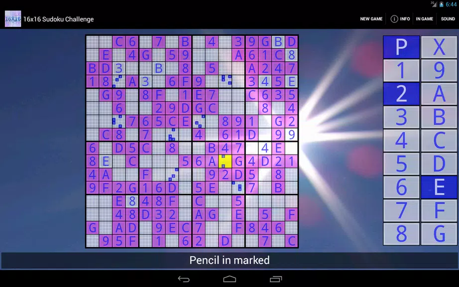 16x16 Sudoku Challenge HD screenshot 3