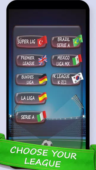 Football Game : Super League screenshot 1