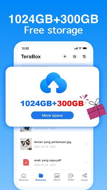 Terabox screenshot 1