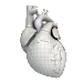 VOKA 3D Anatomy and Physiology APK