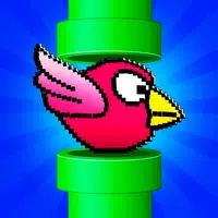 Fun Birds Game - Two players APK